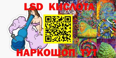 прущие грибы Абинск