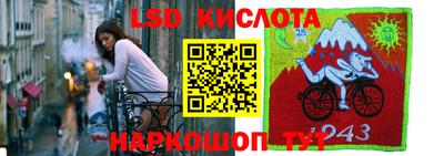 прущие грибы Абинск