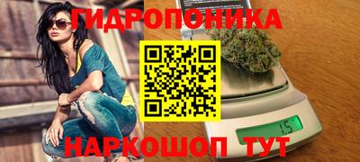 прущие грибы Абинск