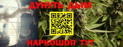 прущие грибы Абинск